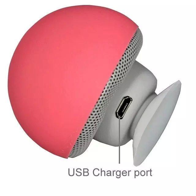 Pop Socket and Bluetooth Speaker